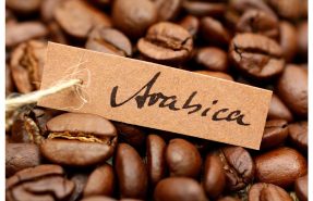 arabica coffee